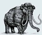 WoollyMammoth_02